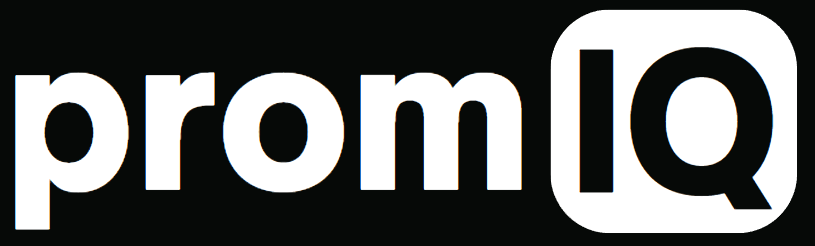 promIQ logo on transparent background